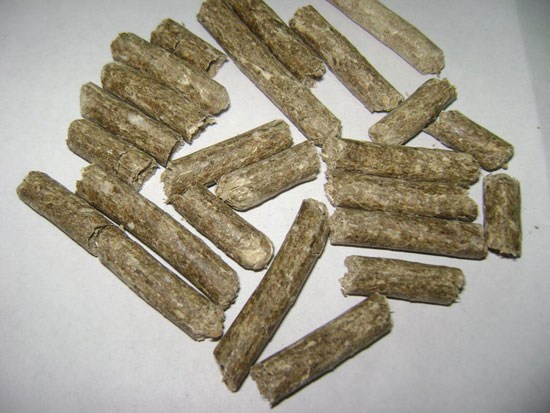 出口鍍鋅帶鋼